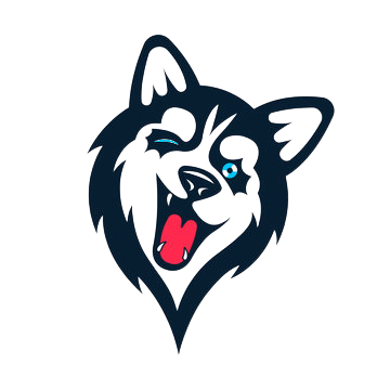 Stella Software Solutions Inc